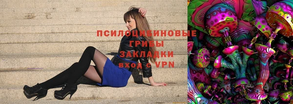 гидропоника Бронницы